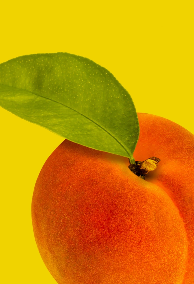 APRICOT
SEED